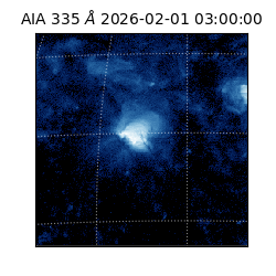 saia - 2026-02-01T03:00:00.629000