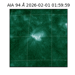 saia - 2026-02-01T01:59:59.141000