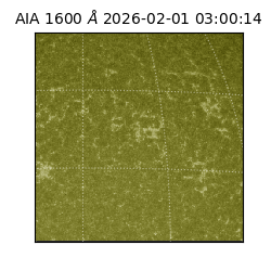 saia - 2026-02-01T03:00:14.125000