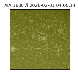 saia - 2026-02-01T04:00:14.125000