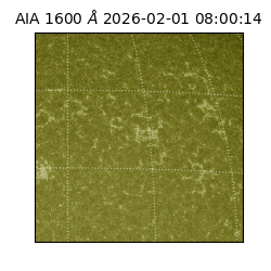 saia - 2026-02-01T08:00:14.118000