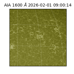 saia - 2026-02-01T09:00:14.130000