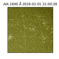 saia - 2026-02-01T21:00:38.129000