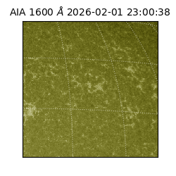 saia - 2026-02-01T23:00:38.126000