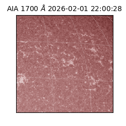 saia - 2026-02-01T22:00:28.717000