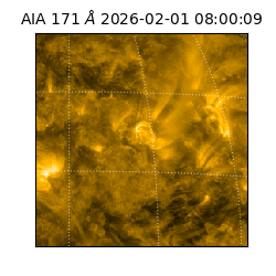 saia - 2026-02-01T08:00:09.342000