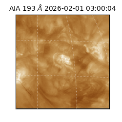 saia - 2026-02-01T03:00:04.843000