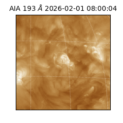 saia - 2026-02-01T08:00:04.835000