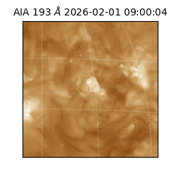 saia - 2026-02-01T09:00:04.843000