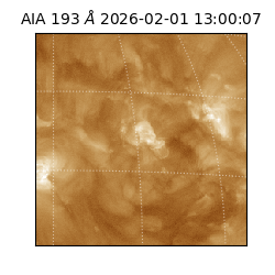 saia - 2026-02-01T13:00:07.367000