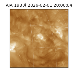 saia - 2026-02-01T20:00:04.843000