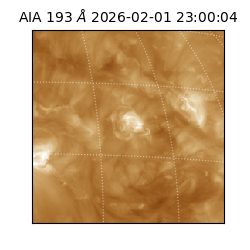 saia - 2026-02-01T23:00:04.843000