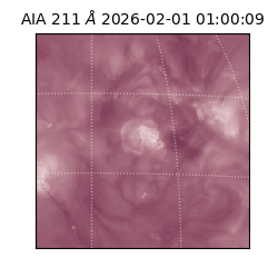 saia - 2026-02-01T01:00:09.624000