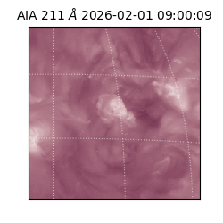 saia - 2026-02-01T09:00:09.626000