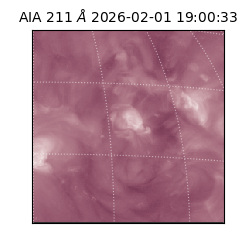 saia - 2026-02-01T19:00:33.626000