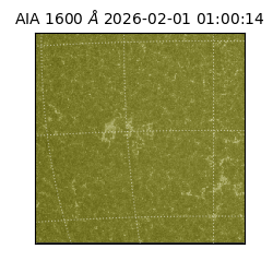 saia - 2026-02-01T01:00:14.134000