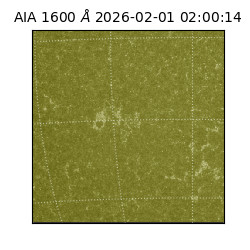 saia - 2026-02-01T02:00:14.126000