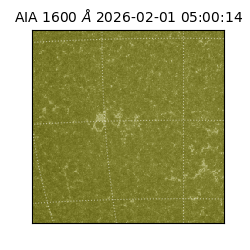 saia - 2026-02-01T05:00:14.125000