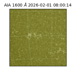 saia - 2026-02-01T08:00:14.118000