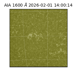 saia - 2026-02-01T14:00:14.126000