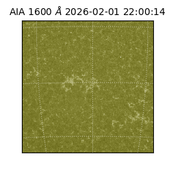 saia - 2026-02-01T22:00:14.132000