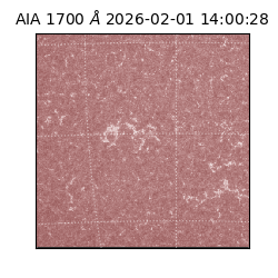 saia - 2026-02-01T14:00:28.718000