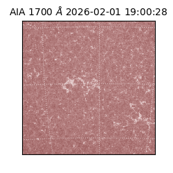 saia - 2026-02-01T19:00:28.717000