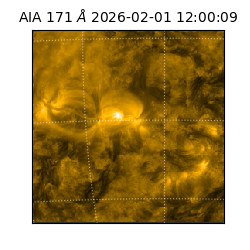 saia - 2026-02-01T12:00:09.351000