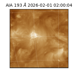 saia - 2026-02-01T02:00:04.843000