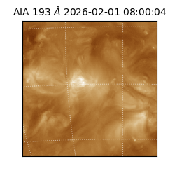 saia - 2026-02-01T08:00:04.835000