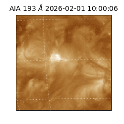 saia - 2026-02-01T10:00:06.939000