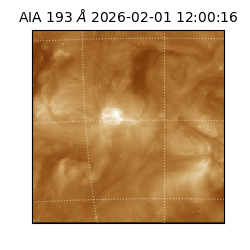 saia - 2026-02-01T12:00:16.835000