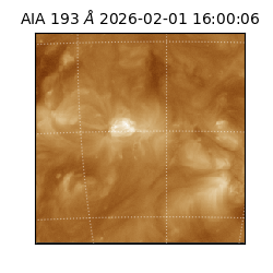 saia - 2026-02-01T16:00:06.780000