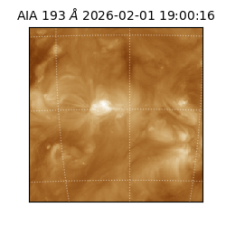 saia - 2026-02-01T19:00:16.843000