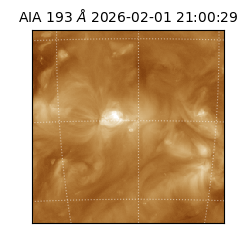 saia - 2026-02-01T21:00:29.627000