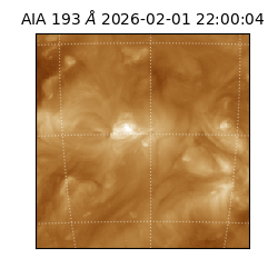 saia - 2026-02-01T22:00:04.843000