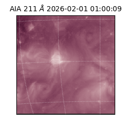 saia - 2026-02-01T01:00:09.624000