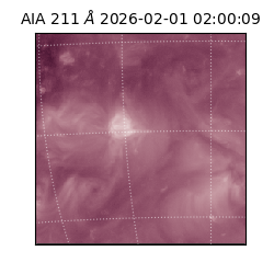 saia - 2026-02-01T02:00:09.632000