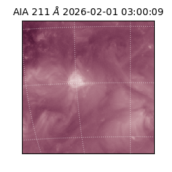 saia - 2026-02-01T03:00:09.637000