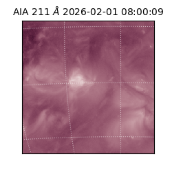 saia - 2026-02-01T08:00:09.618000