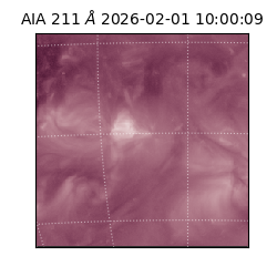 saia - 2026-02-01T10:00:09.622000