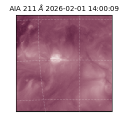 saia - 2026-02-01T14:00:09.625000