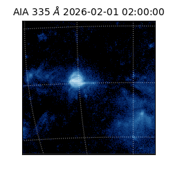 saia - 2026-02-01T02:00:00.625000