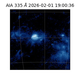 saia - 2026-02-01T19:00:36.626000