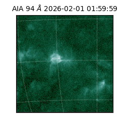 saia - 2026-02-01T01:59:59.141000