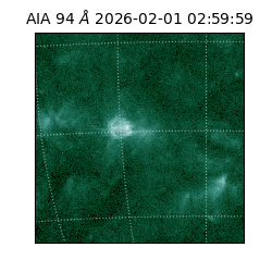 saia - 2026-02-01T02:59:59.131000