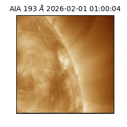 saia - 2026-02-01T01:00:04.843000