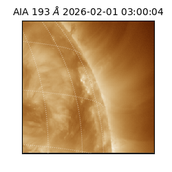 saia - 2026-02-01T03:00:04.843000