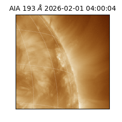 saia - 2026-02-01T04:00:04.843000