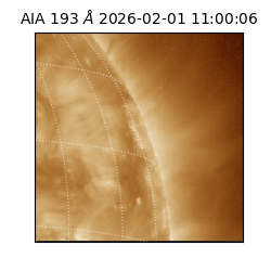 saia - 2026-02-01T11:00:06.614000